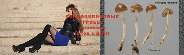 синтетический гашиш Баксан