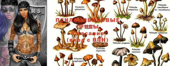 крисы Аркадак