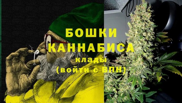 крисы Аркадак