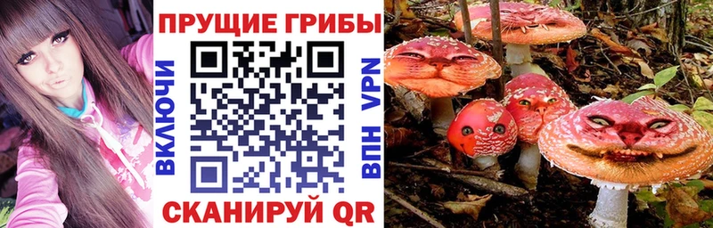 Галлюциногенные грибы Magic Shrooms  МЕГА маркетплейс  Циолковский 