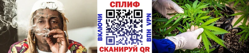 Каннабис Bruce Banner  кракен ТОР  сайты даркнета какой сайт  цена   Циолковский 